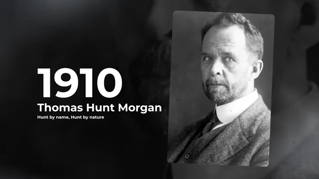 Thomas Hunt Morgan, who showed genes are carried on chromosomes
