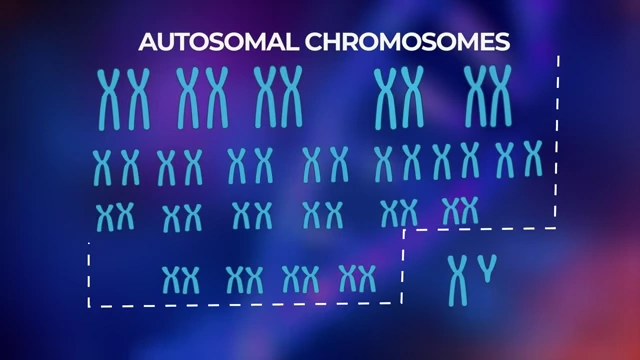 Huntington's disease linked to a genetic marker on chromosome 4