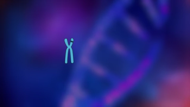The Huntington gene on chromosome 4 with the CAG repeat sequence
