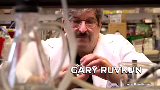 Gary Ruvkun, co-discoverer of microRNA