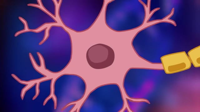 A neuron, targeted to become a 'medicine factory'