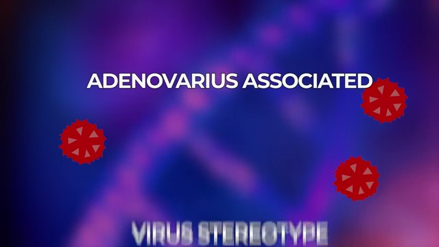 AAV5 virus, used as a vector to deliver therapeutic DNA