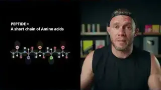"PEPTIDE = A short chain of Amino acids"