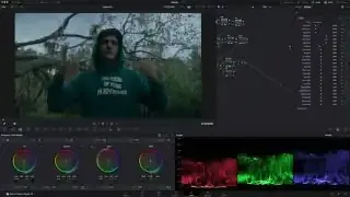 Using the Tetra Interp DCTL to precisely adjust individual color channels within the image, particularly the reds in skin tones.