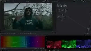 Adjusting the Hue vs. Saturation curve to desaturate specific colors like blues and greens in the background.