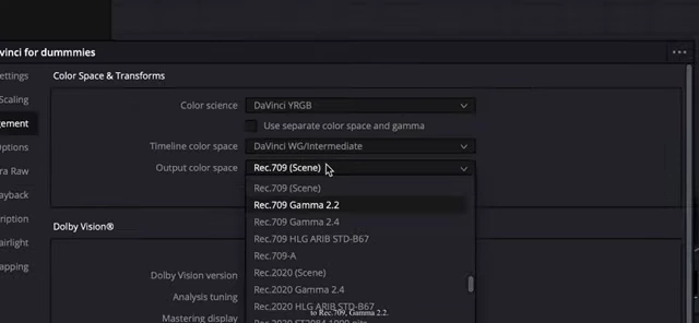 DaVinci Resolve project settings showing DaVinci Wide Gamut selected for Timeline Color Space