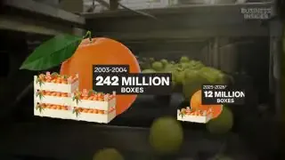 Florida Orange Production Decline