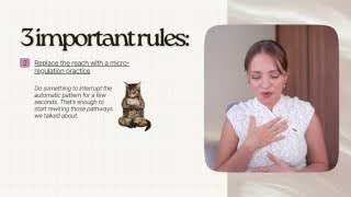 A cat meditating to represent micro-regulation practice