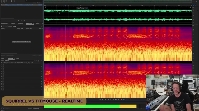 A spectrogram showing the "fight sounds" between a squirrel and a titmouse over a bird feeder, both in real-time and slowed down.