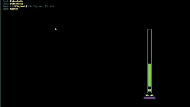 A terminal interface displaying real-time audio levels, used for advanced Birdnet-Pi configuration.