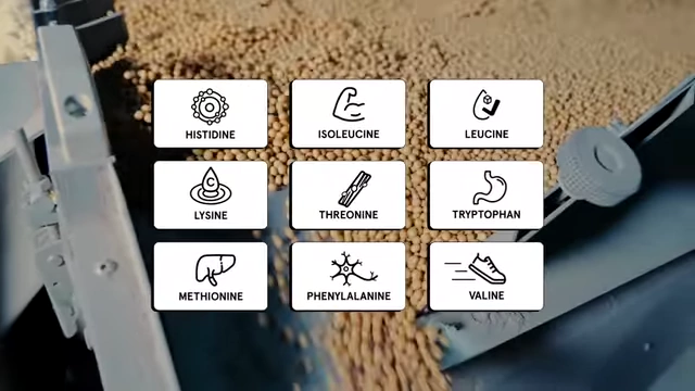 An infographic illustrating the nine essential amino acids.