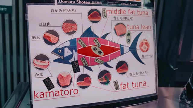 A detailed diagram illustrating different cuts of tuna available at a market stall in Kuromon Market, indicating various types like 'middle fat tuna', 'tuna lean', 'fat tuna', and 'kamatoro'.