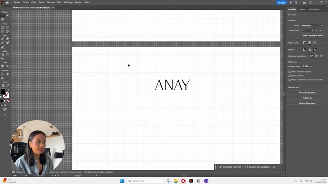 The chosen modern serif font for the "ANAY" wordmark.