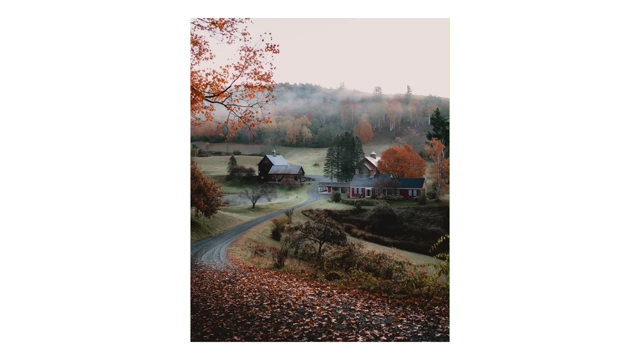 A picturesque farm in Vermont during autumn, with a road winding through colorful foliage and a slight mist