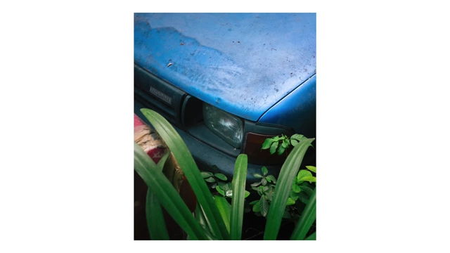 A close-up of an old blue car's headlight surrounded by green plants, highlighting texture and color