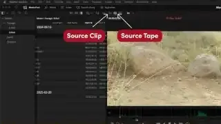![A visual showing the "Source Clip" and "Source Tape" icons in DaVinci Resolve's viewer.](sb0068_t00.11.20.webp)