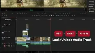 ![A screenshot showing the "OPT + SHIFT + F1 to F8 - Lock/Unlock Audio Track" overlay.](sb0070_t00.11.40.webp)