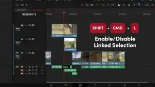 A screenshot showing the "SHIFT + CMD + L - Enable/Disable Linked Selection"