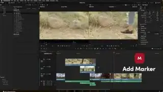 ![A screenshot showing the "M - Add Marker" overlay on the timeline.](sb0103_t00.17.10.webp)