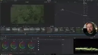 DaVinci Resolve interface showing various clips on the timeline and color grading tools