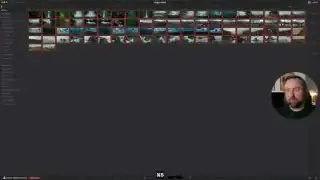Lightbox view with multiple clips selected to apply a look