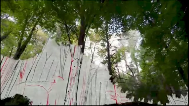 An illustrative visual blending a drawn landscape with a real forest, symbolizing the imaginative aspect of world creation