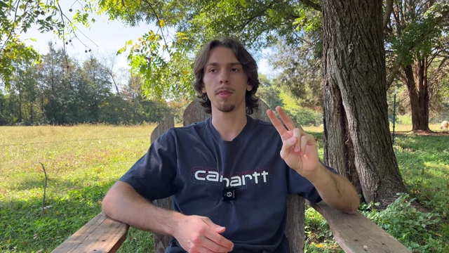 The speaker holds up two fingers to indicate the second key reason for rapid improvement.