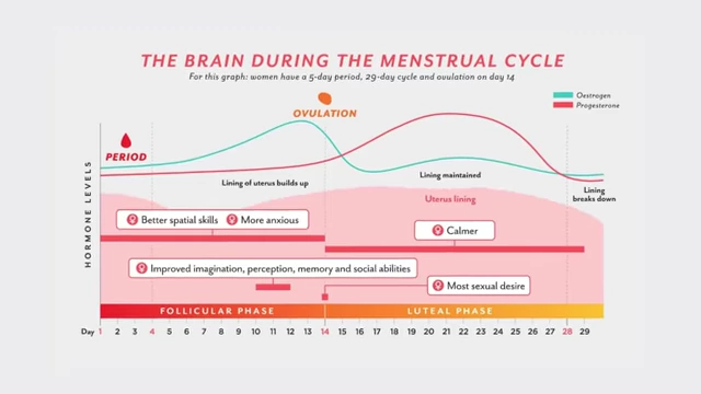 Diagram illustrating hormone levels and associated mood and cognitive changes during the follicular and luteal phases.