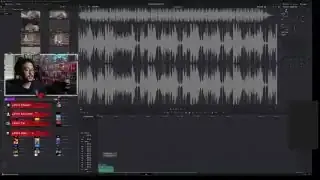 DaVinci Resolve timeline showing detailed audio waveforms