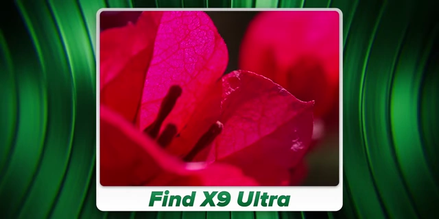 OPPO Find X9 Ultra拍摄的特写微距照片