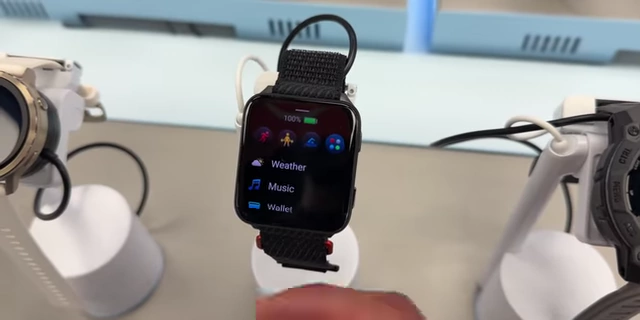Garmin智能手表用户界面