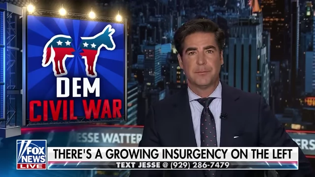 Graphic depicts a fractured Democratic donkey, symbolizing a "Dem Civil War."