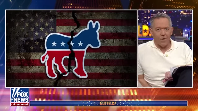 Graphic shows a cracked Democratic Party donkey over an American flag, symbolizing internal division.