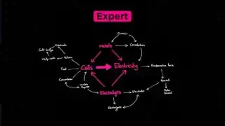 An expert's interconnected knowledge map