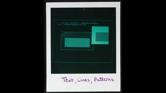 Polaroid showing text, lines, and patterns rendered on Lisa
