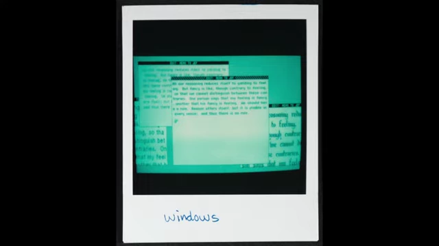Polaroid showing early overlapping windows on Lisa