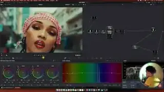 The DaVinci Resolve color wheels showing adjustments to hue vs. saturation and hue vs. luminance for skin tone refinement.