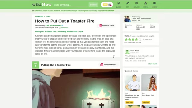 A screenshot of a WikiHow article titled "How to Put Out a Toaster Fire," exemplifying the platform's focus on simple, everyday skills.