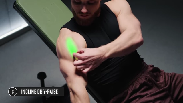 Close-up highlighting the targeted deltoid fibers for shape development during the Incline Dumbbell Y-Raise