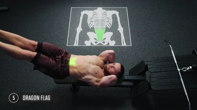 Anatomy graphic highlighting the activation of the lower abs, upper abs, and obliques during a Dragon Flag