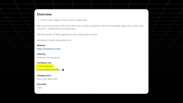 Massive.ai company overview highlighting the small team size (2-10 employees)