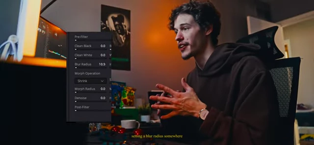 Blur Radius setting within DaVinci Resolve's qualifier panel to soften mask edges for natural transitions.
