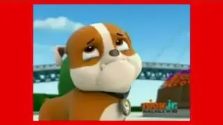 Rubble looking sad