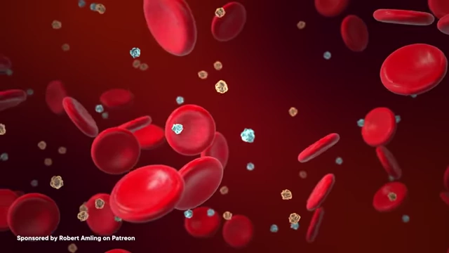 An illustration showing red blood cells and glucose molecules in the bloodstream, representing the drug's effect on blood sugar levels.