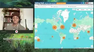 Falling Fruit website displaying a global map with numerous orange circles indicating locations of fruit and edible plants.