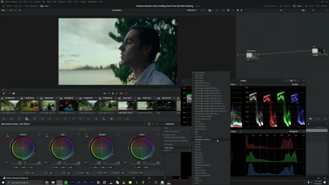 Mapping HDR wheels to the camera's color space in DaVinci Resolve