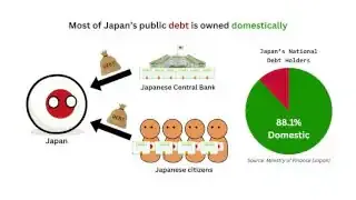 A pie chart illustrating that 88.1% of Japan's public debt is owned domestically, reducing its risk of foreign default.