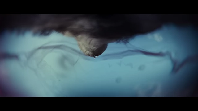 An underwater shot with the camera inverted, symbolizing a fall into mystery and the ocean as a place of uncertainty.