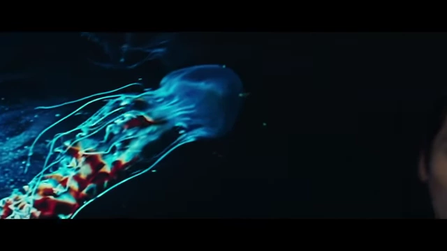 A jellyfish floating in the dark ocean, representing Seo-rae's action of taking Hae-jun's problems and pushing them away.