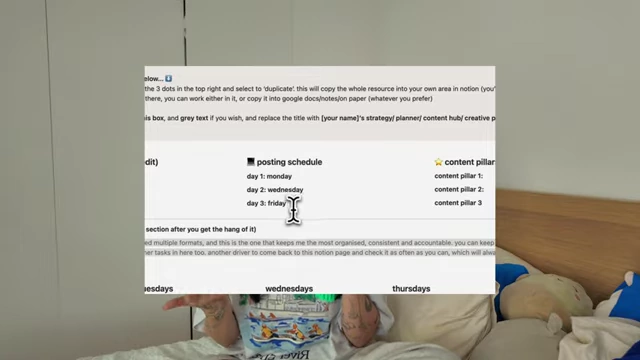 Detailed Posting Schedule Example